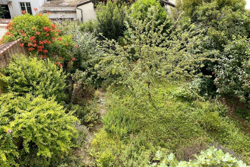 Appartement Cosy Idealement Situe Au Centre Ville Dijon Dış mekan fotoğraf