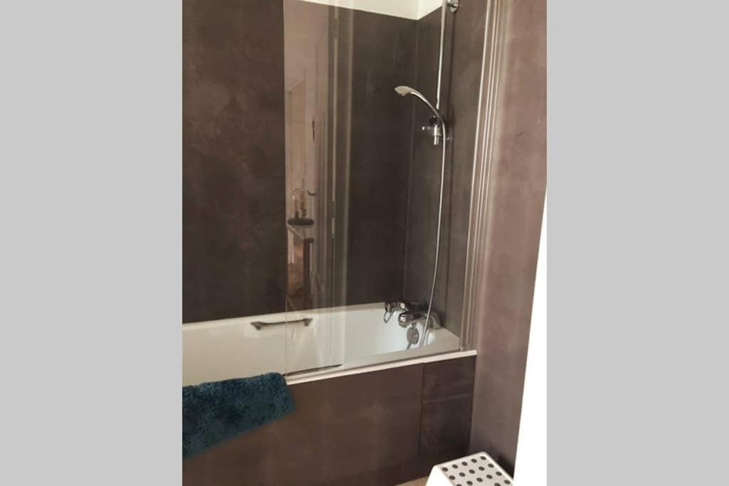 Appartement Cosy Idealement Situe Au Centre Ville Dijon Dış mekan fotoğraf
